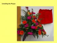 Unveiling the Plaque