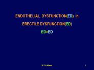 Endothelium vs Erectile dysfunction