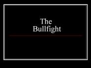 The Bullfight