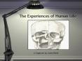The Experiences of Human Life PowerPoint PPT Presentation