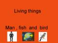 living things & non living things PowerPoint PPT Presentation