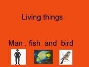 living things & non living things