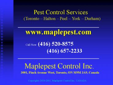 Pest Exterminator Services by Maplepest Control Inc. Call here 416-520-8575