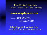 Pest Exterminator Services by Maplepest Control Inc. Call here 416-520-8575