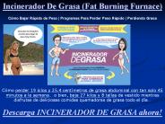 Incinerador de grasa maximo