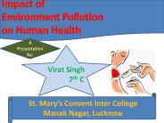 Impact of Environment Pollution on Human Health