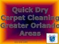 Dry Carpet Cleaning $19.95 first room Orlando 321-216-1442