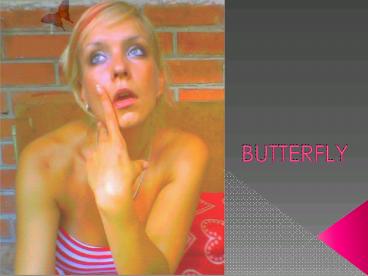 Butterfly