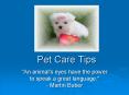 Pet Care Tips 2 PowerPoint PPT Presentation