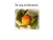 Yo Soy El Durazno