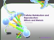 CH 4 Cellular Metabolism