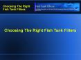 Choosing The Right Fish Tank Filters PowerPoint PPT Presentation