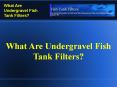What Are Undergravel Fish Tank Filters? PowerPoint PPT Presentation