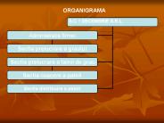 Organizarea unei firme
