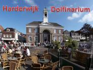Harderwijk en het dolfinaruim
