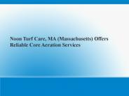 Noon Turf Care, MA