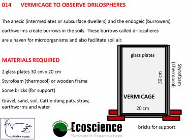 014 Vermicage to observe drilospheres