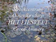 Het ooievaarsdorp Liesvelt
