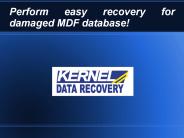 Make efficient recovery for damaged SQL database