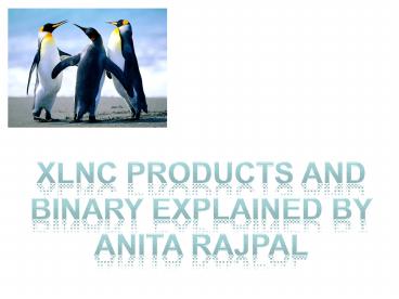XLNC Products