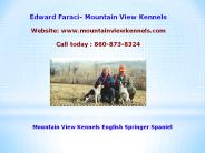 Edward Faraci