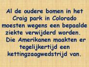Oude zieke bomen