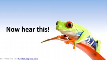 presentation player overlay