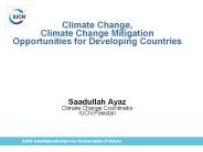 Saadullah Ayaz