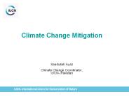 Climate Change Mitigation- Saadullah Ayaz