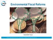 Environmental Fiscal Reforms- Saadullah Ayaz