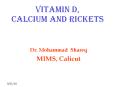 Rickets,Vitamin D and calcium metabilism PowerPoint PPT Presentation