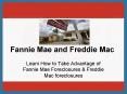 A Brief Explanation About Fannie Mae and Freddie Mac PowerPoint PPT Presentation