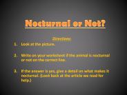 Is this Animal Nocturnal?