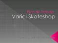 Varial Skateshop - Plan de Trabajo PowerPoint PPT Presentation
