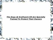 Kraftwerk K9