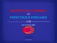 Blood culturing in infectious diseases
