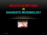 Molecular methods in Diagnostic Microbiology