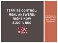 Termite Control: Real Answers, Right Now - Slug-a-Bug
