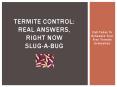 Termite Control: Real Answers, Right Now - Slug-a-Bug