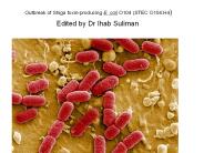 out break of E Coli