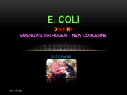 E.coli O104;H4 Emerging infection