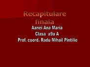 Proiect Anca