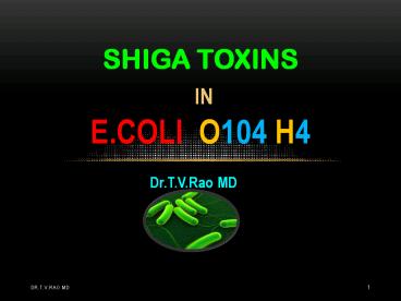 E.coli O104 H4 Shiga Toxins
