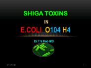E.coli O104 H4 Shiga Toxins