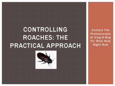 Controlling Roaches: The Practical Approach