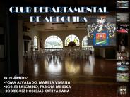 CLUB DEPARTAMENTAL DE AREQUIPA - ENSAYO