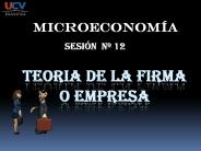 teoria de la firma o empresa