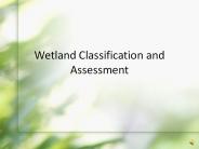 Wetland Classification and Assessment
