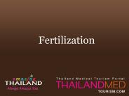 Thailand Medical Tourism_Fertilazation