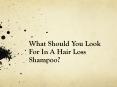 What Should You Look For In A Hair Loss Shampoo? PowerPoint PPT Presentation